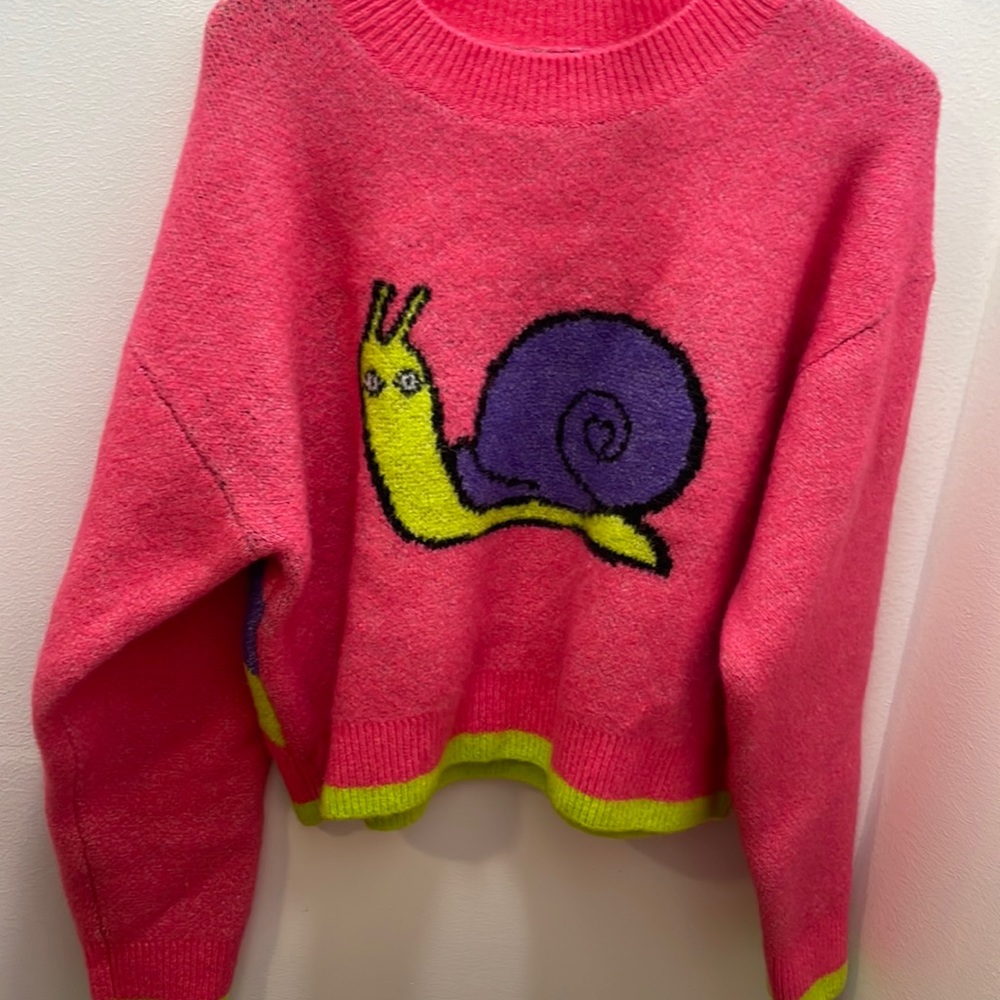 Zara snail sweater